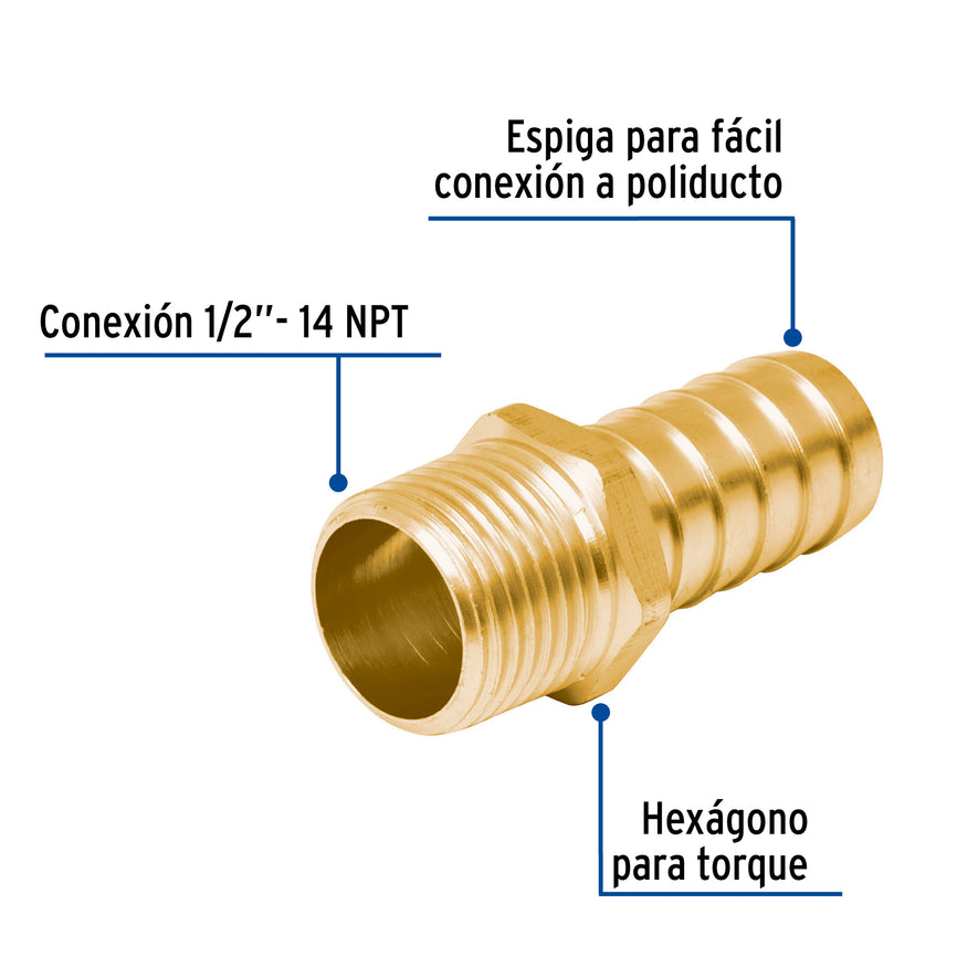 Adaptador macho de latón 1/2' para poliducto, Foset Caja con 12, 49305