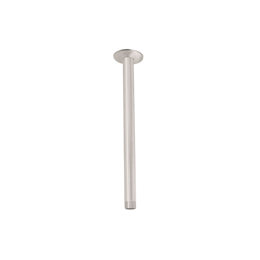 Brazo y chapetón de repuesto para regadera techo, satinado, 45589