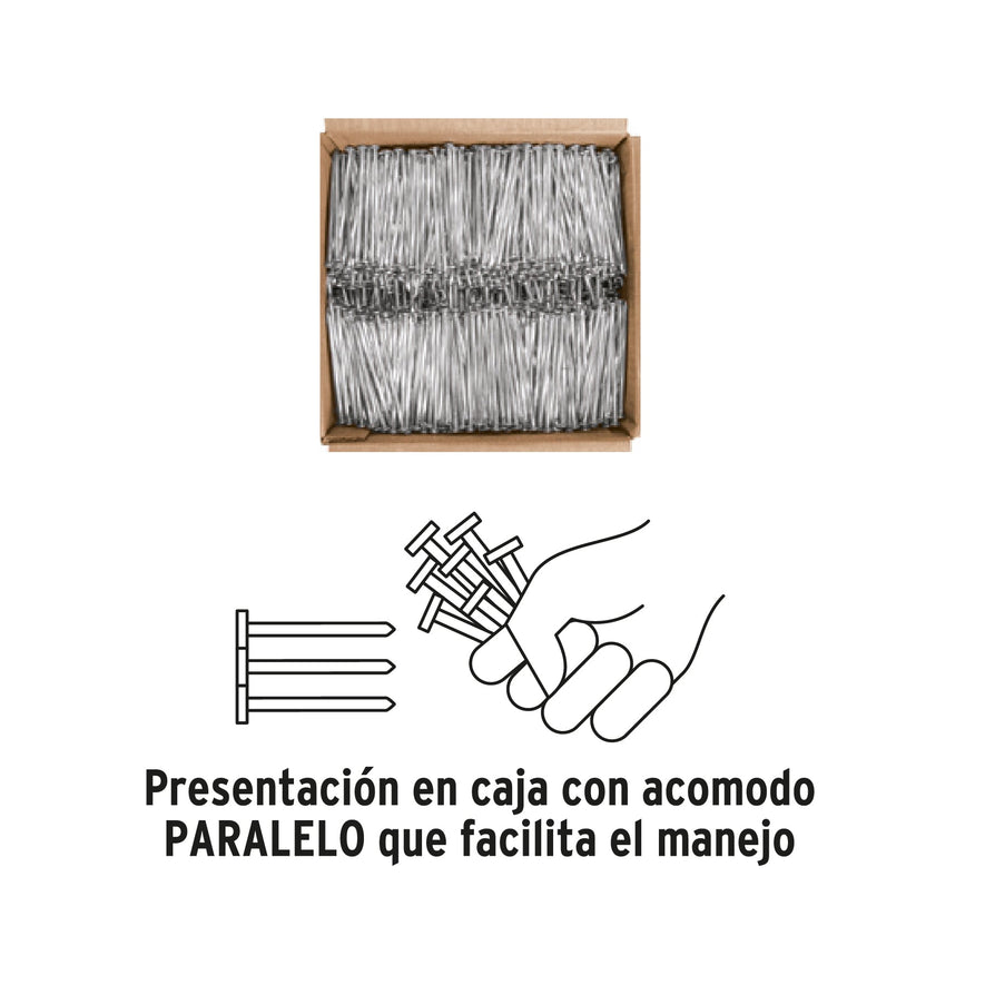 Kilo de clavos para concreto 3' galvanizado, caja de 25 kg Caja con 25, 44834