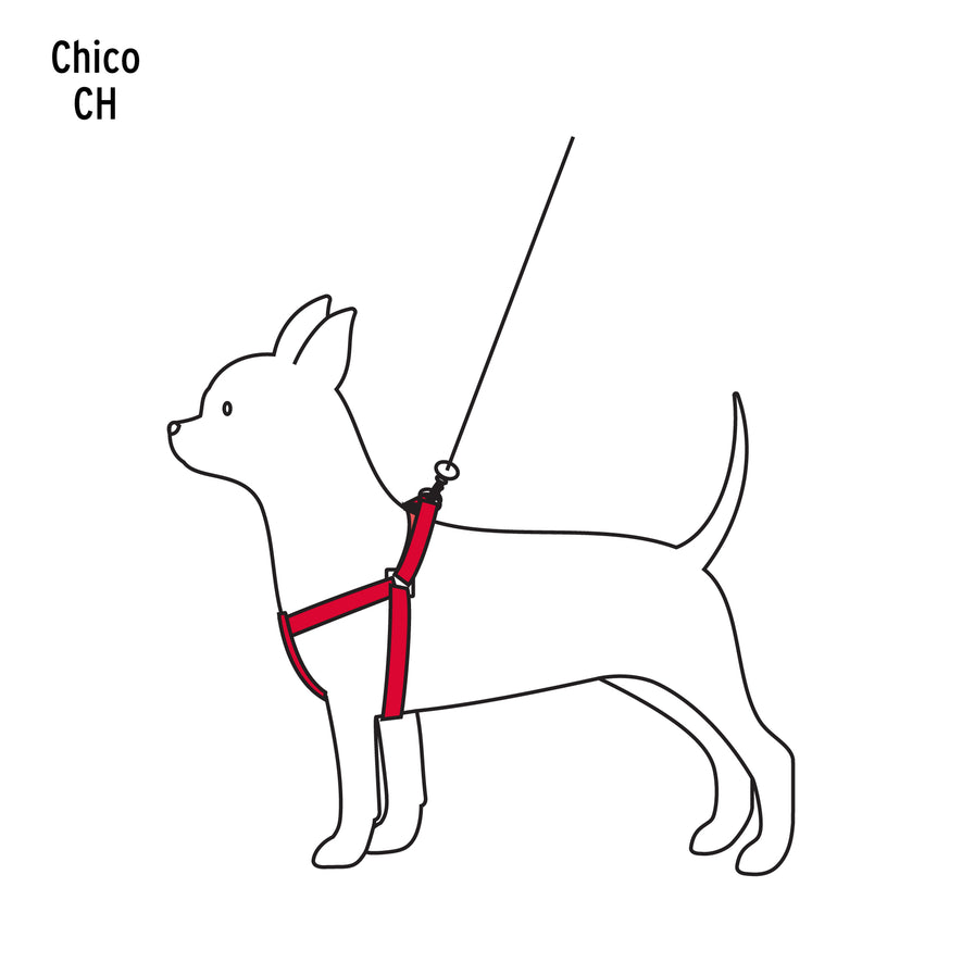 Correa con pechera para perro, 1 cm ancho, Fiero Caja con 12, 44294