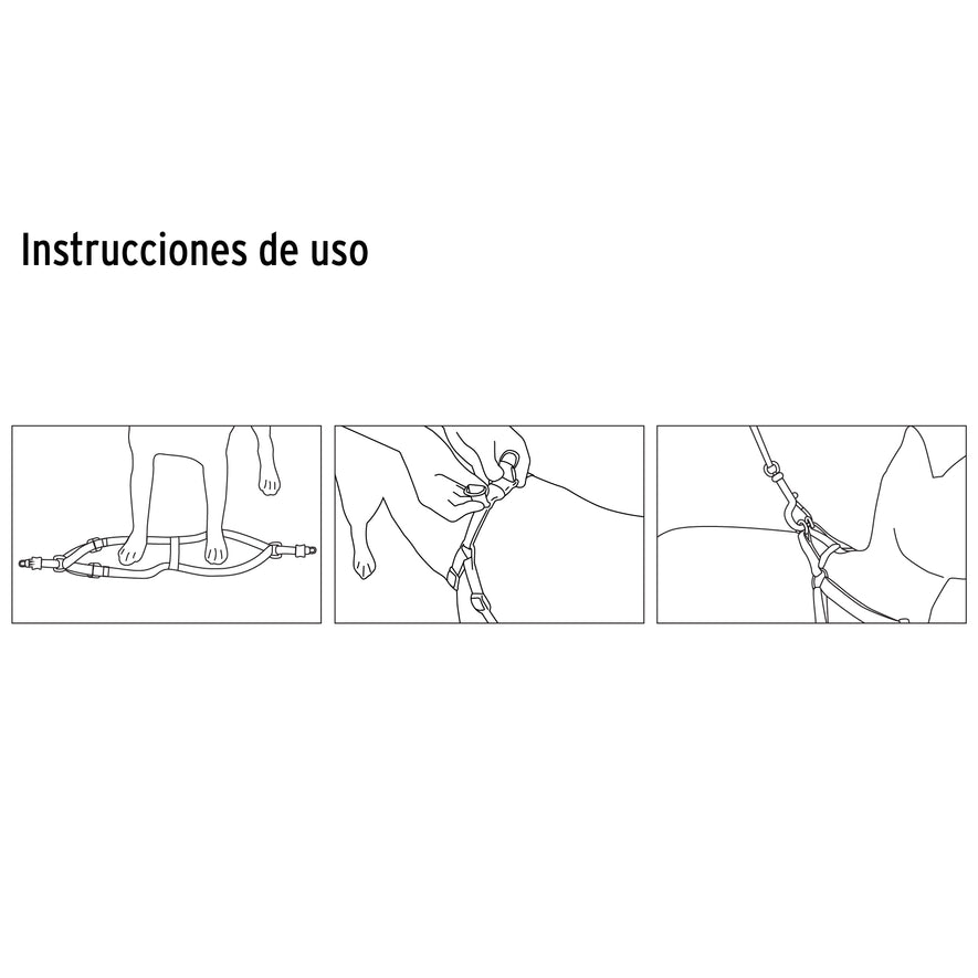 Correa con pechera para perro, 1.5 cm ancho, Fiero Caja con 12, 44295