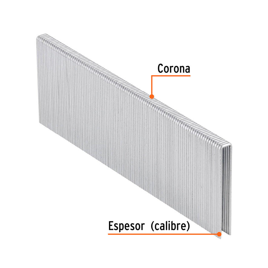 grapas corona 1/4' calibre 18, 40mm p/ENNE-120 Caja con 5000, 18279