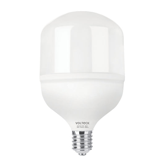 Lámpara LED alta potencia 70 W (equiv. 750 W), luz de día Caja con 2, 48079
