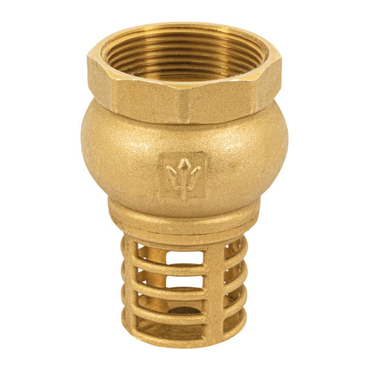 Pichancha con rejilla de latón 1-1/2', Foset Caja con 6, 49048