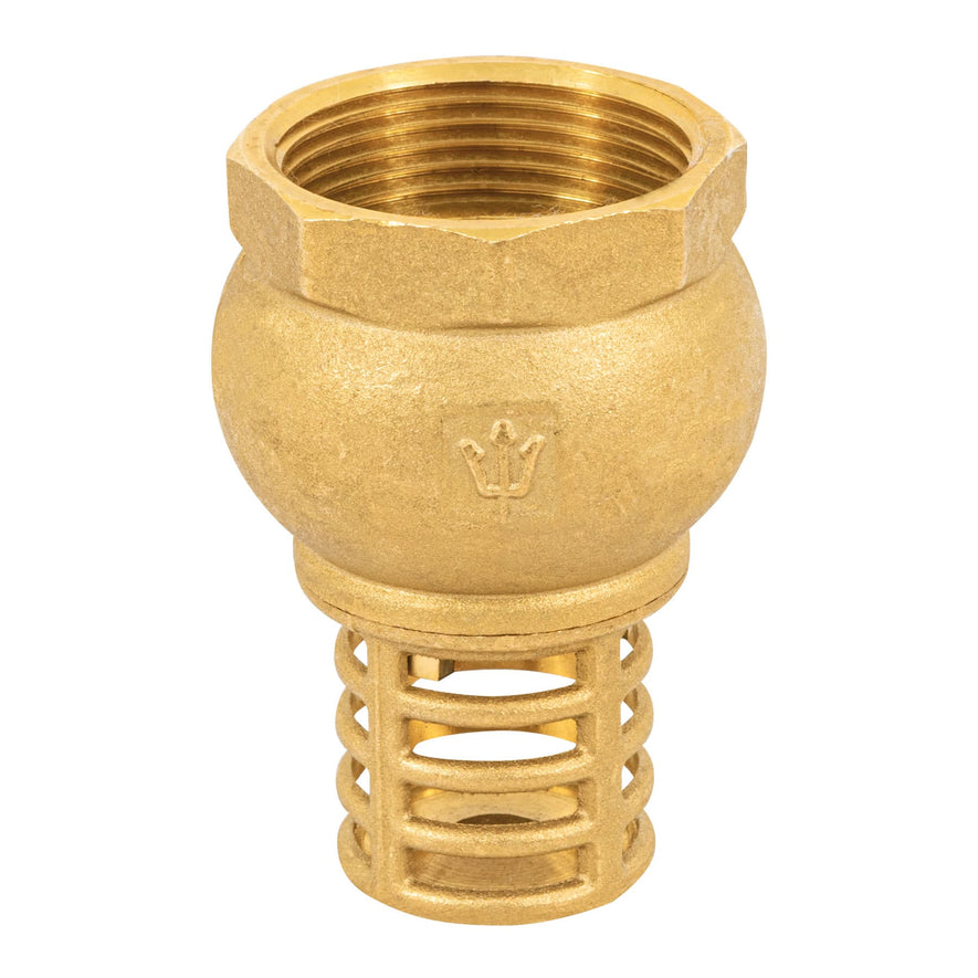 Pichancha con rejilla de latón 1-1/4', Foset Caja con 3, 49047