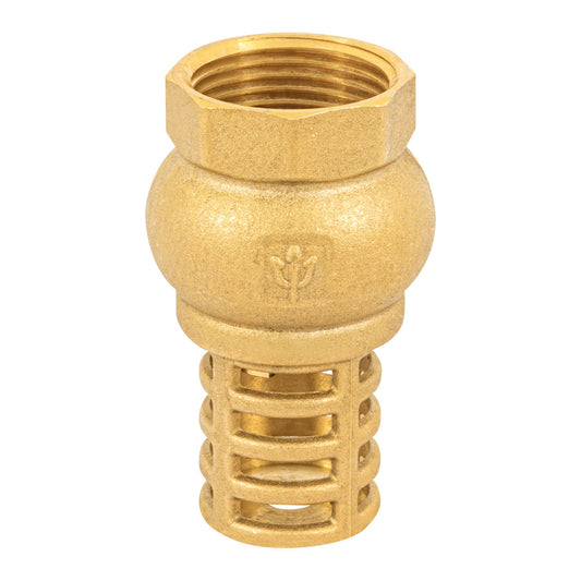 Pichancha con rejilla de latón 1', Foset Caja con 6, 49046