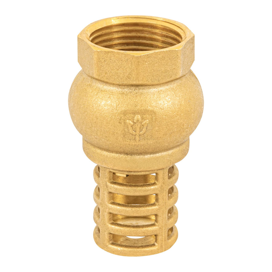 Pichancha con rejilla de latón 1', Foset Caja con 6, 49046