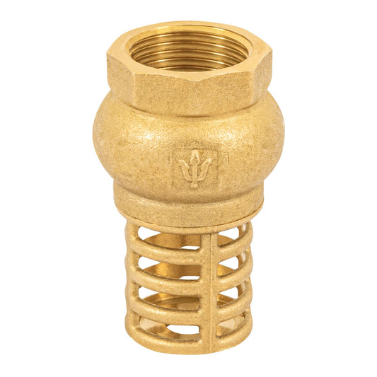 Pichancha con rejilla de latón 3/4', Foset Caja con 6, 49045