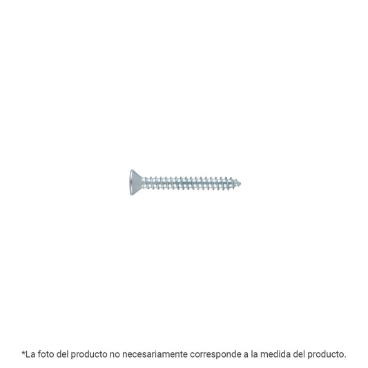 Bolsa 100 pijas para lámina cabeza plana #14 x 3', FIERO Caja con 3, 40909