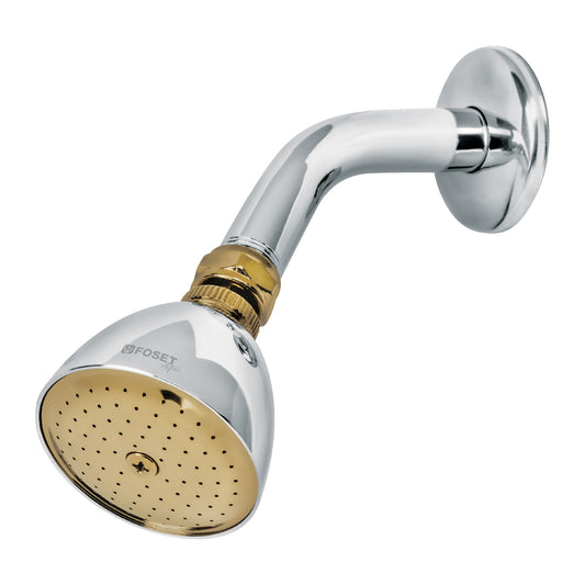 Regadera cónica 2-1/2' cromo-oro brazo y chapetón acero Caja con 2, 49147