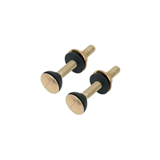 Bolsa con 2 tornillos 5/16' x 70 mm para tanque de WC a base Caja con 12, 49331