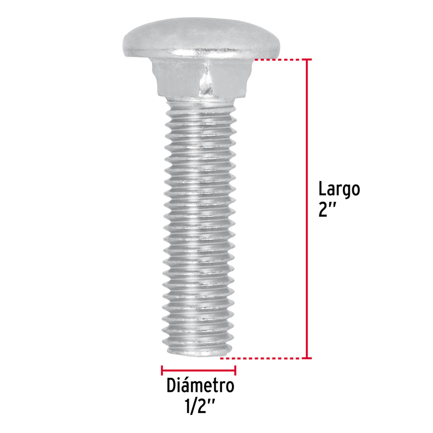 Bolsa con 30 tornillos 1/2' x 2' tipo coche, Fiero Caja con 3, 44748