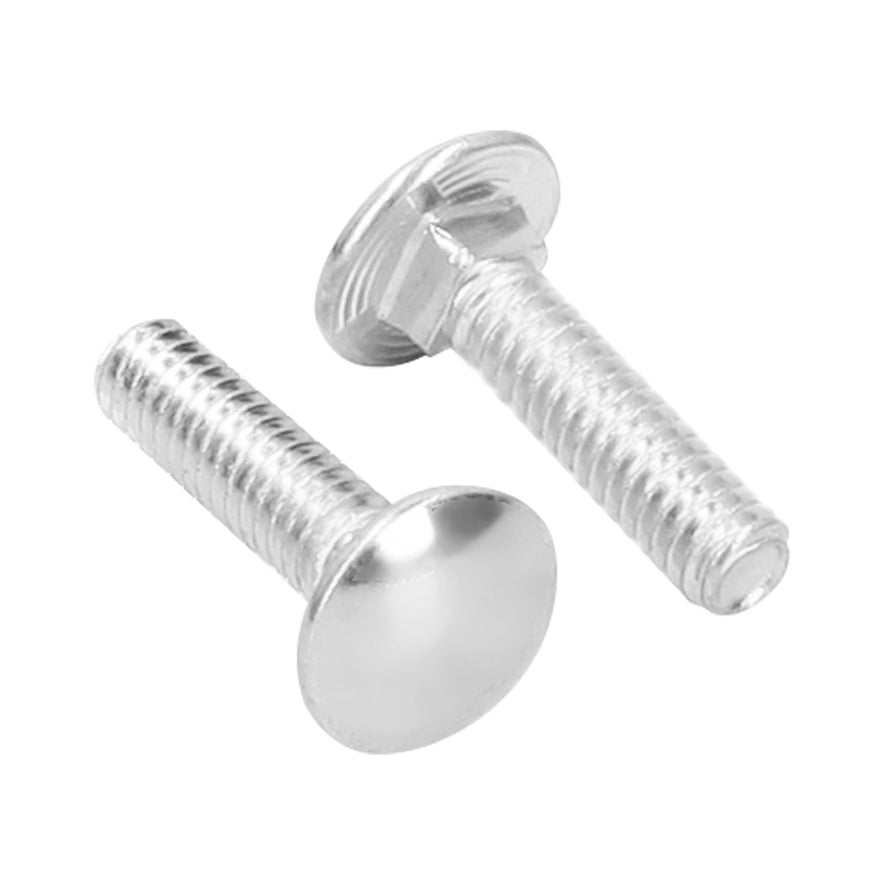 Bolsa con 100 tornillos 1/4' x 1' tipo coche, Fiero Caja con 6, 44712