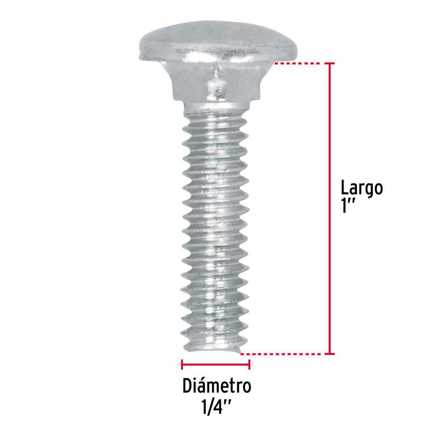 Bolsa con 100 tornillos 1/4' x 1' tipo coche, Fiero Caja con 6, 44712