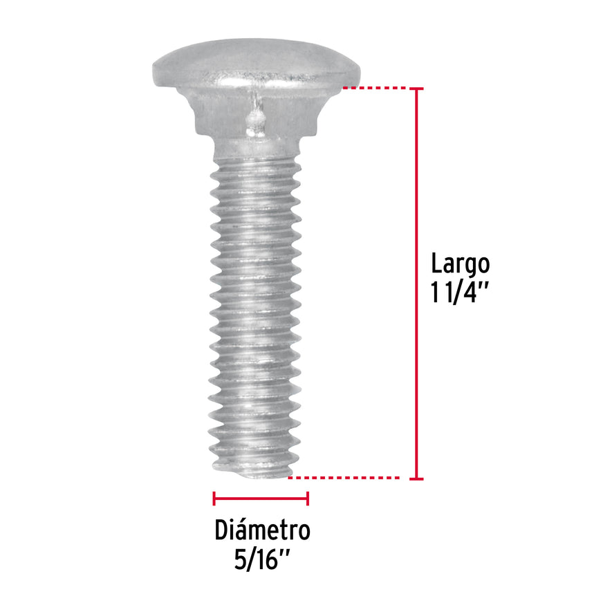 Bolsa con 60 tornillos 5/16' x 1-1/4' tipo coche, Fiero Caja con 6, 44721