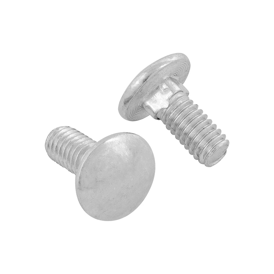 Bolsa con 80 tornillos 5/16' x 3/4' tipo coche, Fiero Caja con 6, 44719