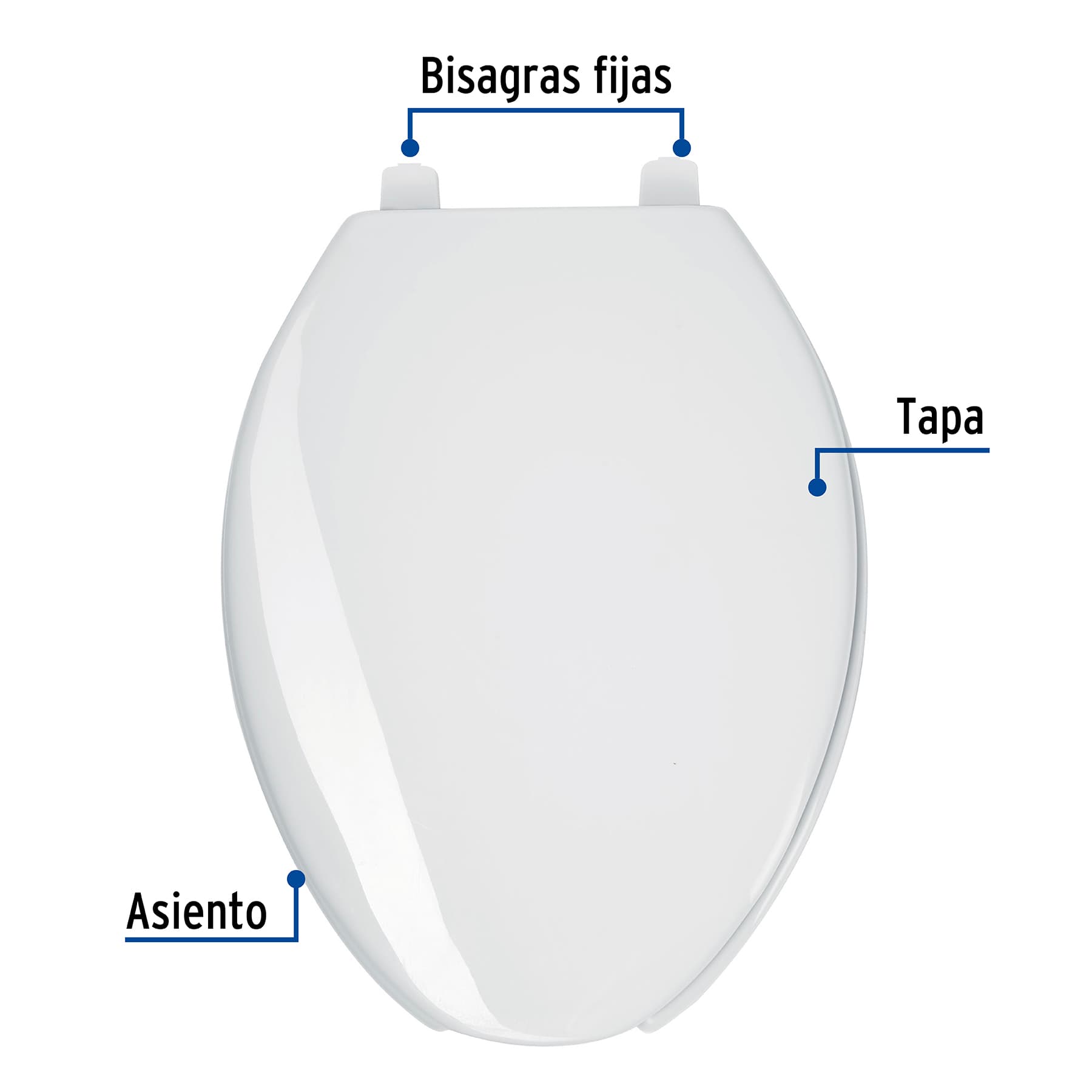 Asiento alargado con tapa para WC, abierto, blanco, FOSET, 49905