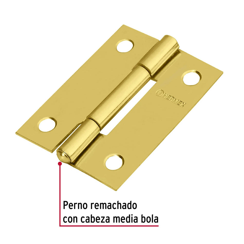 Bolsa con 2 bisagras rectangulares 2', acero latonado Caja con 6, 43207
