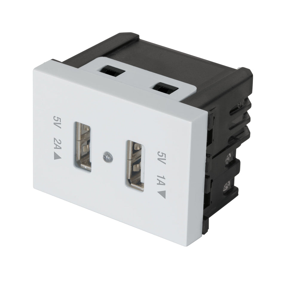 Toma con 2 puertos USB, 1.5 módulos, línea Española, blanco Caja con 6, 47057