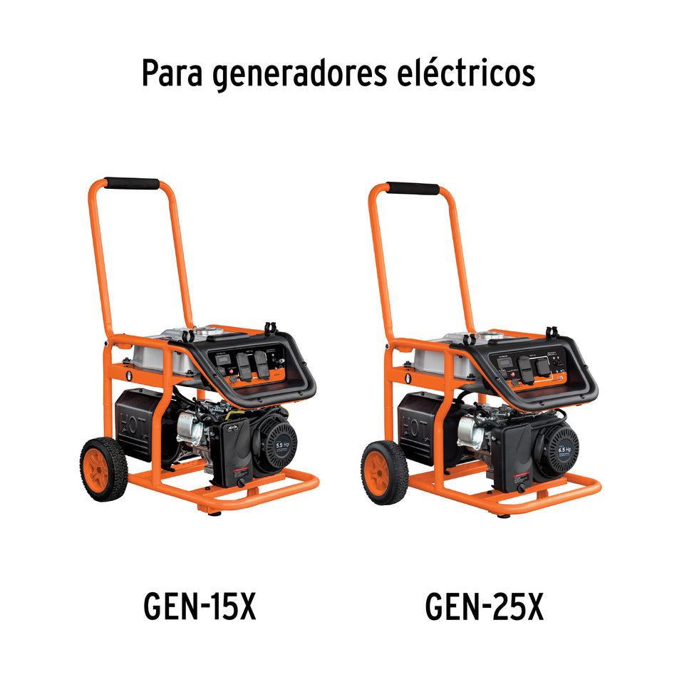 Bolsa con 2 carbones d/repuesto p/generadores Grupo 6,TRUPER, 12665