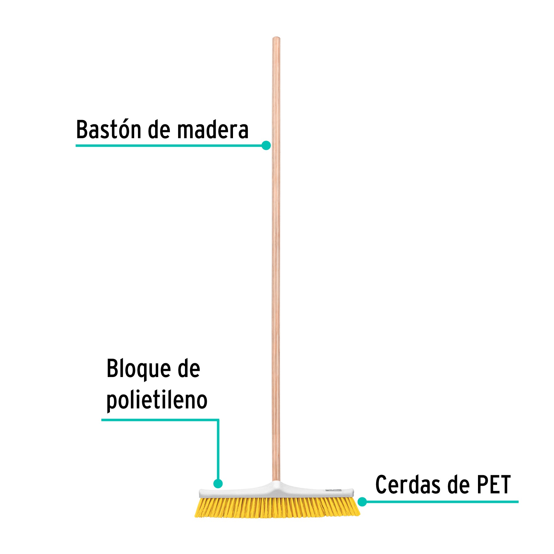 Cepillo industrial cerda suave de 56 cm, bastón de madera, 57037