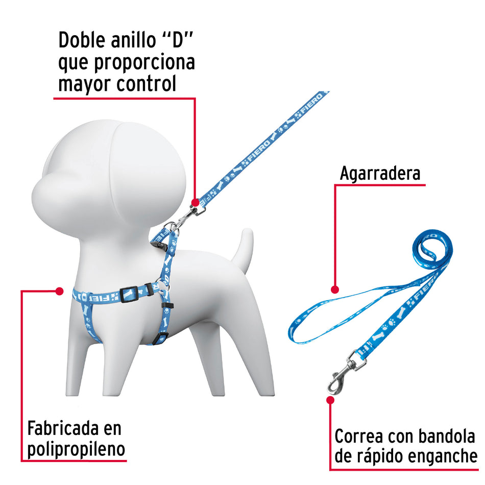 Correa con pechera para perro, 1.5 cm ancho, Fiero Caja con 12, 44295