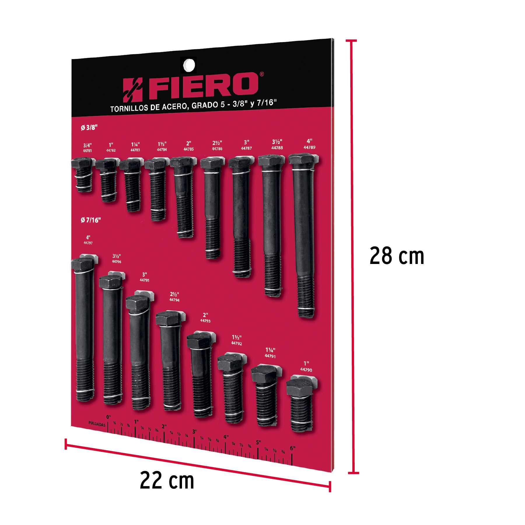 Exhibidor Fiero de tornillos #2, grado 5, 55699