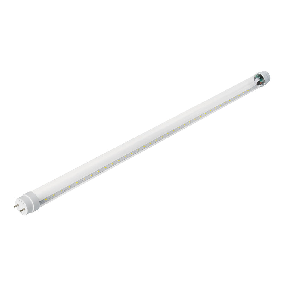 Tubo de LED T8 9 W base G13 pantalla de vidrio, Basic Caja con 8, 28000
