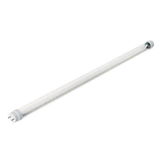 Tubo de LED T8 9 W base G13 pantalla de vidrio, Basic Caja con 8, 28000