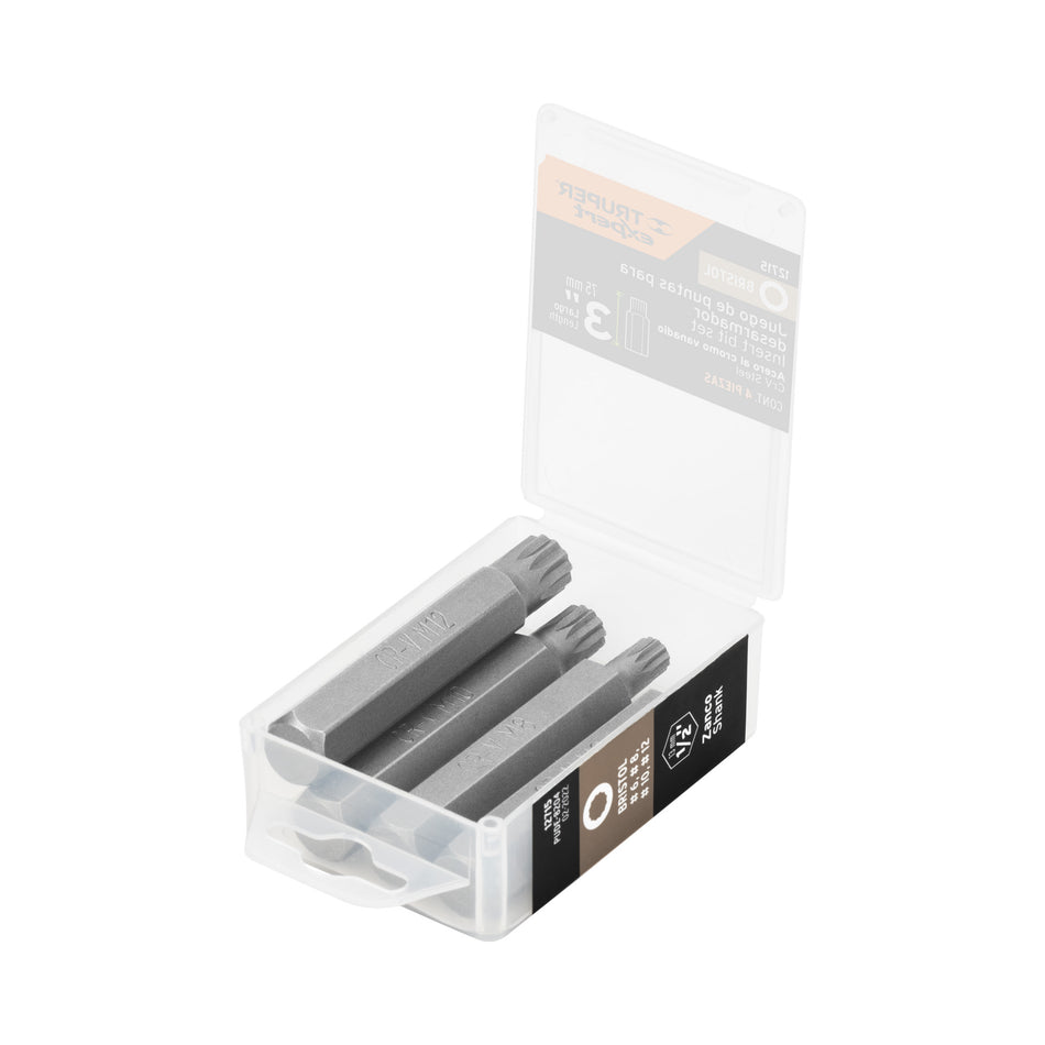 Estuche con 4 puntas brístol combinadas largo 3', Expert Caja con 6, 12715