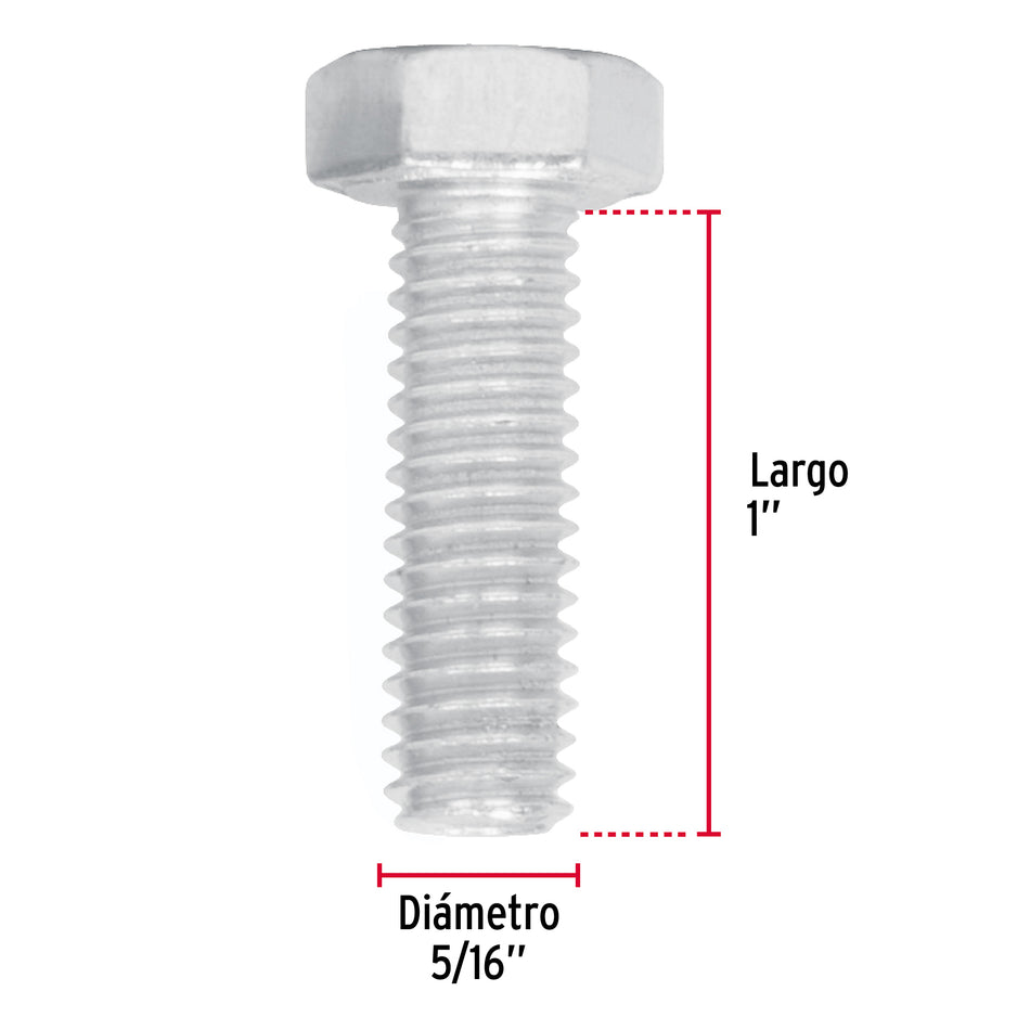 Bolsa con 60 tornillos 5/16' x 1' tipo máquina, FIERO Caja con 6, 44566