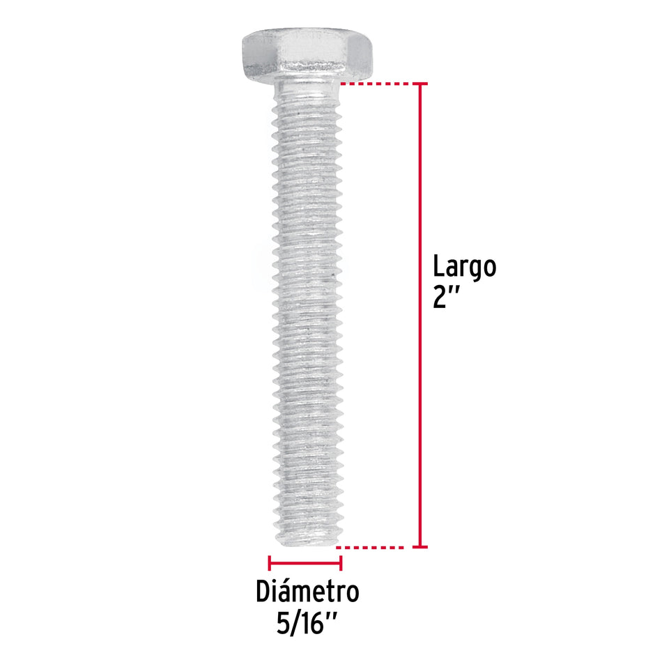 Bolsa con 80 tornillos 5/16' x 2' tipo máquina, FIERO Caja con 3, 44569