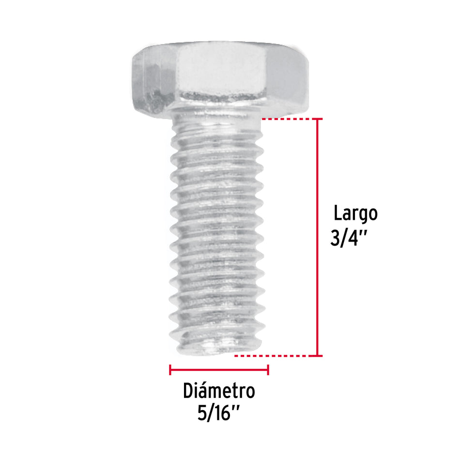 Bolsa con 80 tornillos 5/16' x 3/4' tipo máquina, FIERO Caja con 6, 44565
